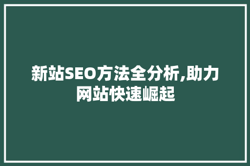 新站SEO方法全分析,助力网站快速崛起
