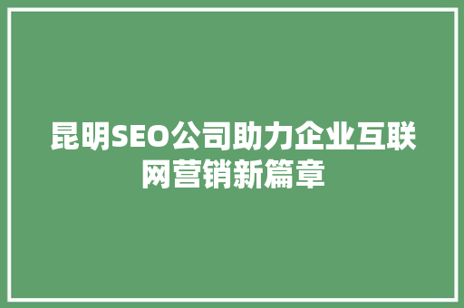 昆明SEO公司助力企业互联网营销新篇章 网站开发