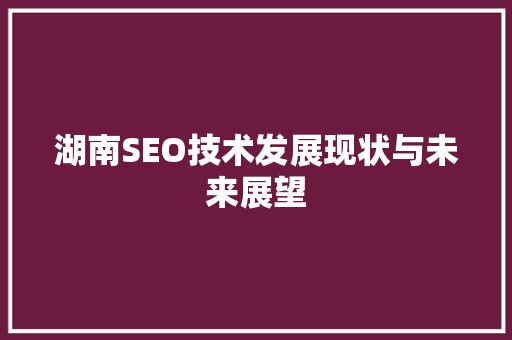 湖南SEO技术发展现状与未来展望