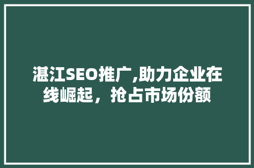 湛江SEO推广,助力企业在线崛起，抢占市场份额
