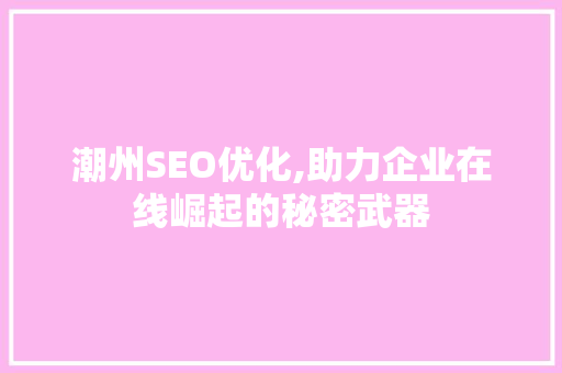潮州SEO优化,助力企业在线崛起的秘密武器