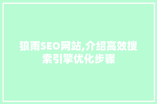 狼雨SEO网站,介绍高效搜索引擎优化步骤