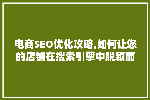 电商SEO优化攻略,如何让您的店铺在搜索引擎中脱颖而出