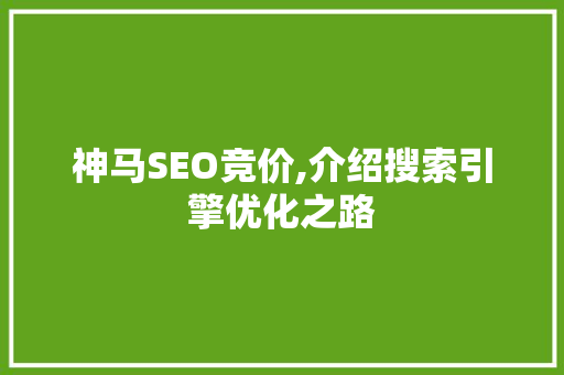 神马SEO竞价,介绍搜索引擎优化之路