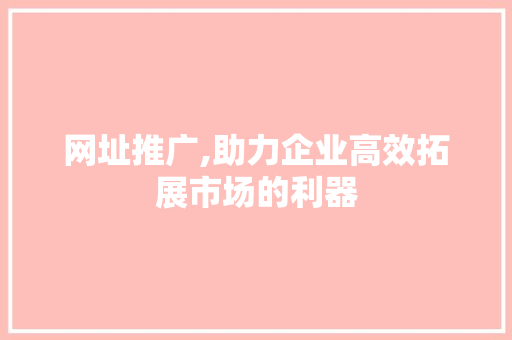 网址推广,助力企业高效拓展市场的利器