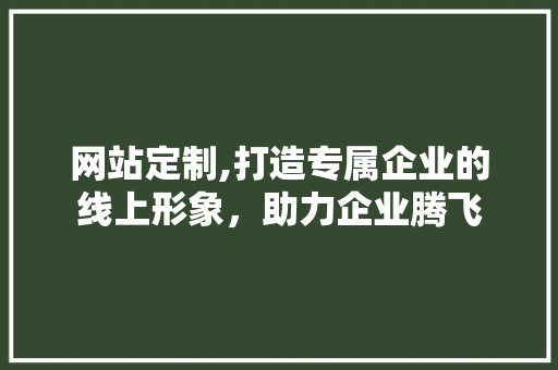 网站定制,打造专属企业的线上形象，助力企业腾飞