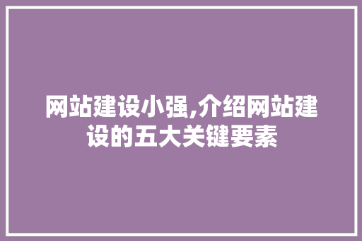 网站建设小强,介绍网站建设的五大关键要素