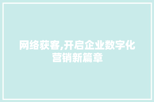 网络获客,开启企业数字化营销新篇章 seo技术