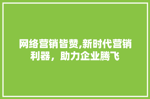 网络营销皆赞,新时代营销利器，助力企业腾飞