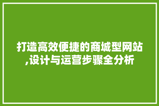 打造高效便捷的商城型网站,设计与运营步骤全分析