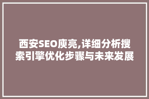 西安SEO庾亮,详细分析搜索引擎优化步骤与未来发展 网站优化