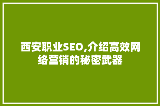 西安职业SEO,介绍高效网络营销的秘密武器