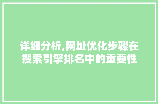 详细分析,网址优化步骤在搜索引擎排名中的重要性
