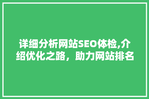 详细分析网站SEO体检,介绍优化之路，助力网站排名提升