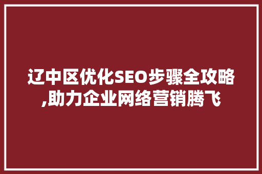 辽中区优化SEO步骤全攻略,助力企业网络营销腾飞