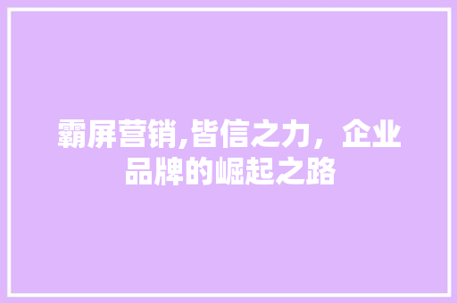 霸屏营销,皆信之力，企业品牌的崛起之路 网站优化
