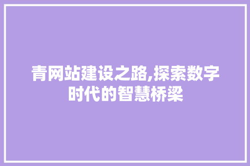 青网站建设之路,探索数字时代的智慧桥梁