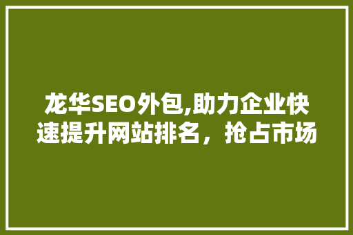 龙华SEO外包,助力企业快速提升网站排名，抢占市场先机