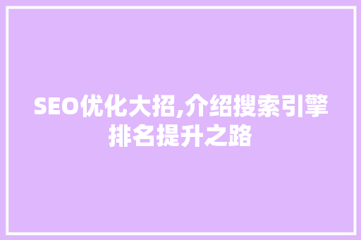 SEO优化大招,介绍搜索引擎排名提升之路 网站优化