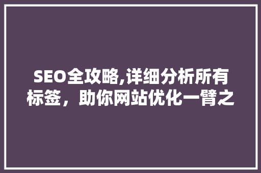 SEO全攻略,详细分析所有标签，助你网站优化一臂之力