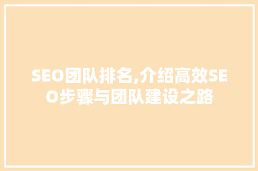 SEO团队排名,介绍高效SEO步骤与团队建设之路