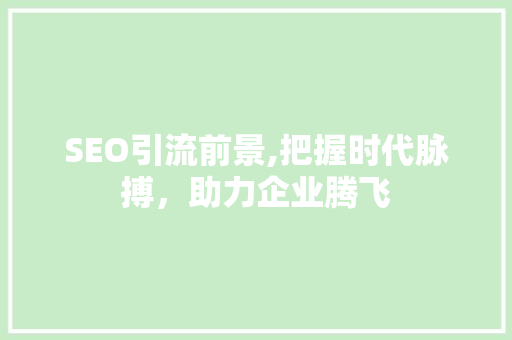 SEO引流前景,把握时代脉搏，助力企业腾飞