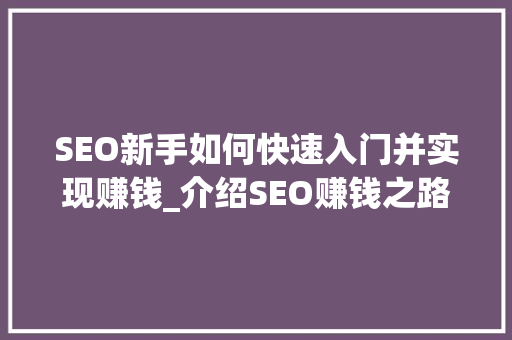 SEO新手如何快速入门并实现赚钱_介绍SEO赚钱之路 AI技术学习
