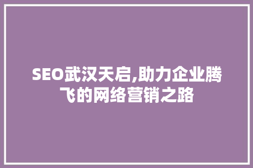 SEO武汉天启,助力企业腾飞的网络营销之路 小程序开发