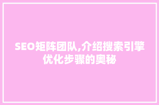 SEO矩阵团队,介绍搜索引擎优化步骤的奥秘