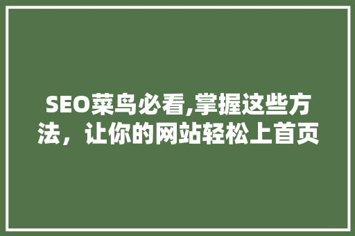 SEO菜鸟必看,掌握这些方法，让你的网站轻松上首页！ 百度算法