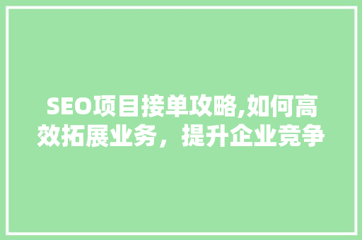SEO项目接单攻略,如何高效拓展业务，提升企业竞争力 小程序开发