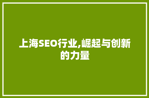 上海SEO行业,崛起与创新的力量