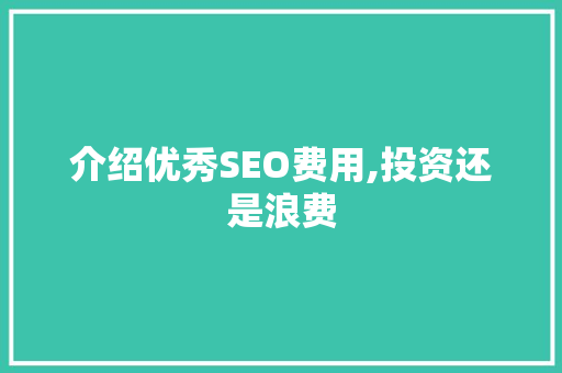 介绍优秀SEO费用,投资还是浪费