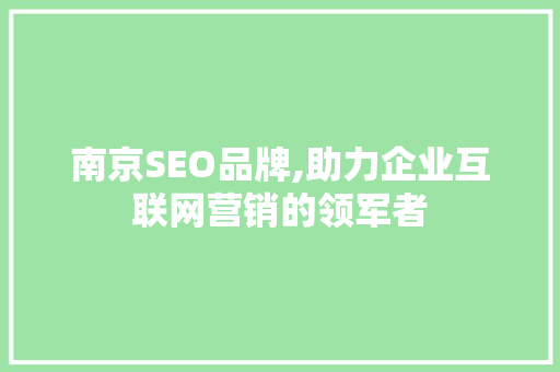 南京SEO品牌,助力企业互联网营销的领军者