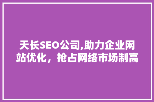 天长SEO公司,助力企业网站优化，抢占网络市场制高点