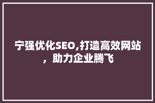 宁强优化SEO,打造高效网站，助力企业腾飞