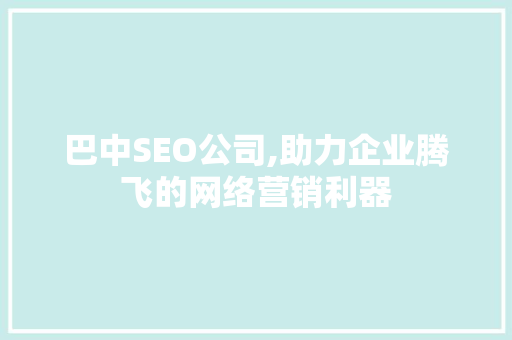 巴中SEO公司,助力企业腾飞的网络营销利器 网站开发