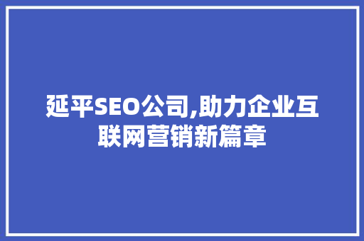 延平SEO公司,助力企业互联网营销新篇章 网站开发