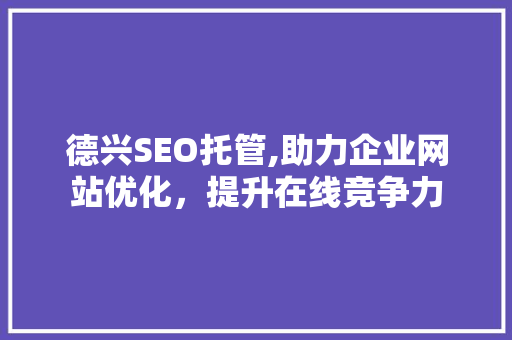 德兴SEO托管,助力企业网站优化，提升在线竞争力