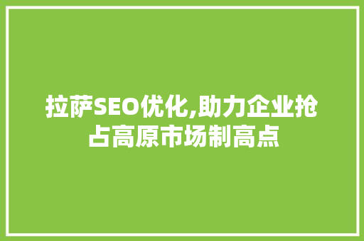 拉萨SEO优化,助力企业抢占高原市场制高点
