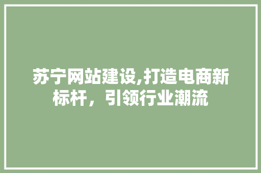 苏宁网站建设,打造电商新标杆，引领行业潮流 360搜优化