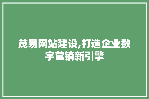 茂易网站建设,打造企业数字营销新引擎 网站优化