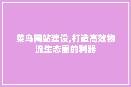 菜鸟网站建设,打造高效物流生态圈的利器