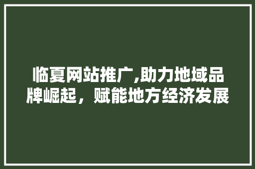 临夏网站推广,助力地域品牌崛起，赋能地方经济发展 网站优化