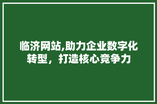 临济网站,助力企业数字化转型，打造核心竞争力 网站优化