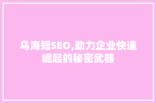 乌海短SEO,助力企业快速崛起的秘密武器