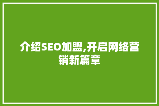 介绍SEO加盟,开启网络营销新篇章 网站开发