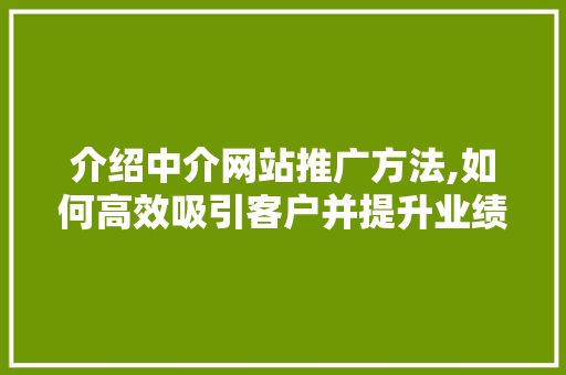 介绍中介网站推广方法,如何高效吸引客户并提升业绩