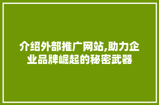 介绍外部推广网站,助力企业品牌崛起的秘密武器
