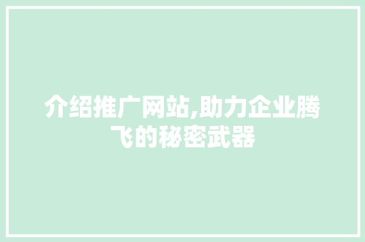 介绍推广网站,助力企业腾飞的秘密武器